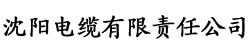 91香蕉视频免费污电缆厂logo